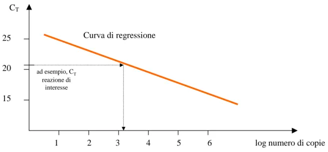 Figura 4: Curva di regressione 