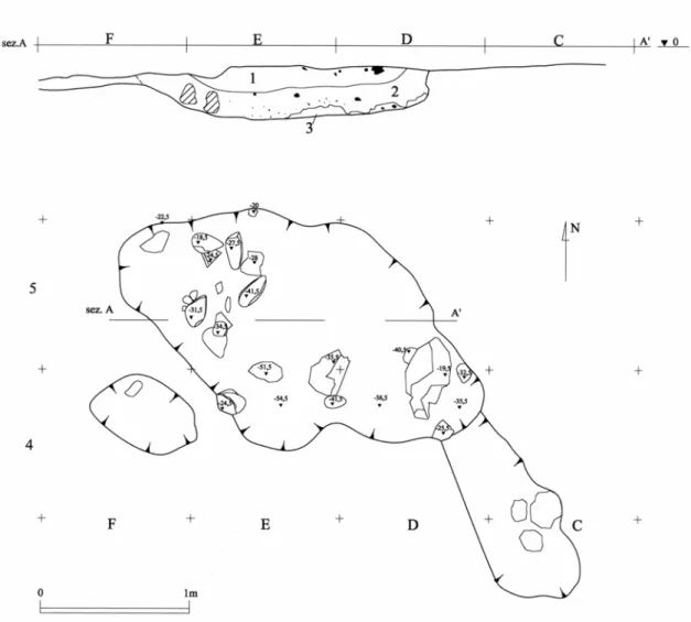 Fig. 9 –  Sezione e pianta dello scavo 