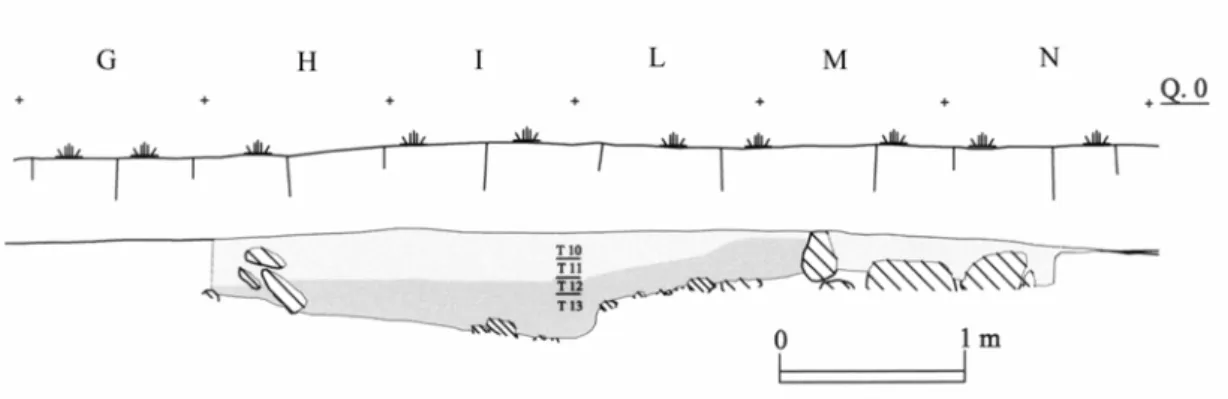 Fig. 12 –  Sezione e pianta dello scavo 