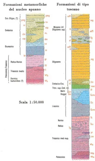 Fig 24 - Successioni stratigrafiche dei nuclei apuano e toscano dalla carta geologica IGM 1:100.000,        foglio 96 Massa