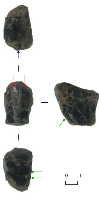 Fig. 49 – Particolare: la picchiettatura                  Fig. 50 – Viste  superiore, anteriore,  inferiore e laterale del supporto 