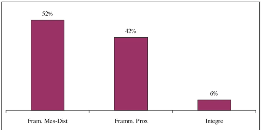 Fig. 97 – Stato di integrità delle lame 