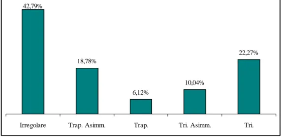 Fig. 118 – Frequenza dei tipi di sezione negli strumenti 