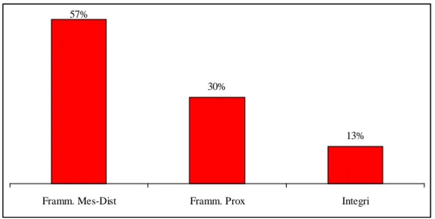 Fig. 120 – Integrità strumenti