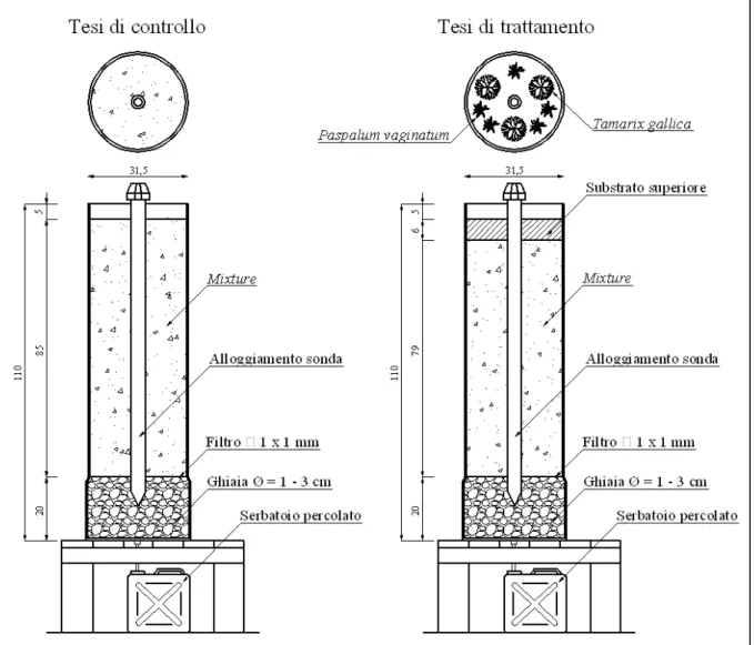 Figura  3:  Piante  e  sezioni  delle  due  tipologie  di  mesocosmi:  tesi  di  controllo  (a  sinistra)  costituita  dai  mesocosmi C, tesi di trattamento (a destra) costituite dai mesocosmi P, L e PL