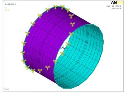 Figure 3.2: Shell model of the CCOC with constraint, rough mesh