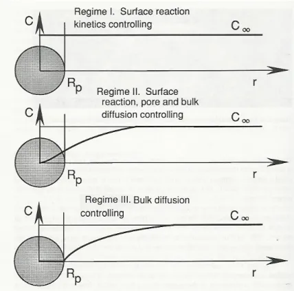 Figura 1.5: Regimi nella combustione di particelle solide (in base alla concentrazione e                          distribuzione dell’ossigeno)