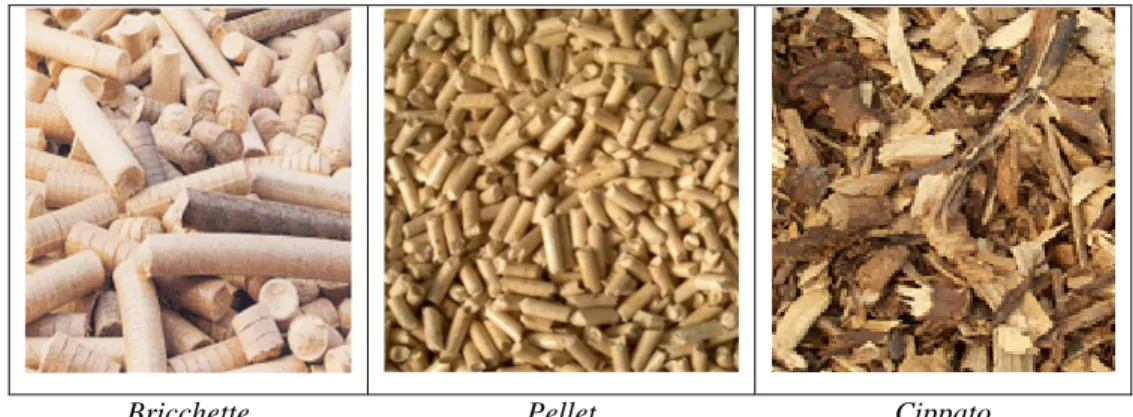 Figura 2: Esempi di lavorazione della biomassa solida 