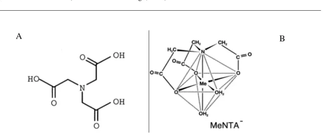 Fig. 2 -  Molecola di NTA (Bucheli-Witschel ed Egli, 2001) 