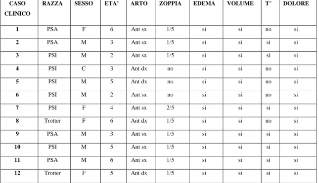 Tabella 1 – Tabella riassuntiva del segnalamento e del quadro clinico dei 12 soggetti presi in esame 