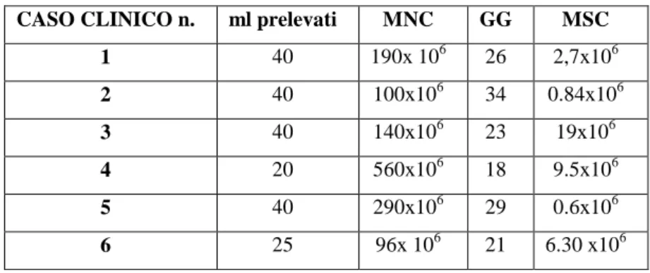 Tabella  3  –  Tabella  riassuntiva  dei  ml  di  midollo  osseo prelevato, di cellule mononucleate (MNC) 