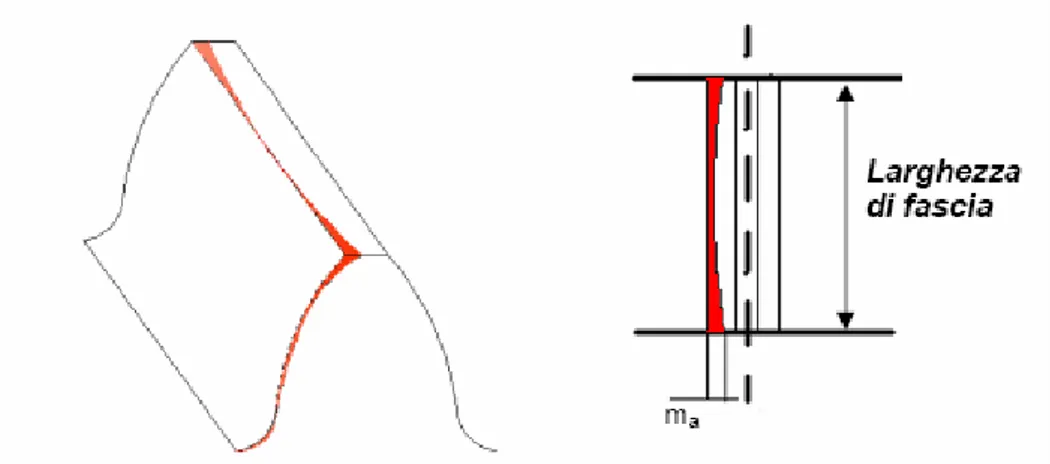 Figura 2.8 descrizione della modifica di bombatura lungo la fascia del dente 