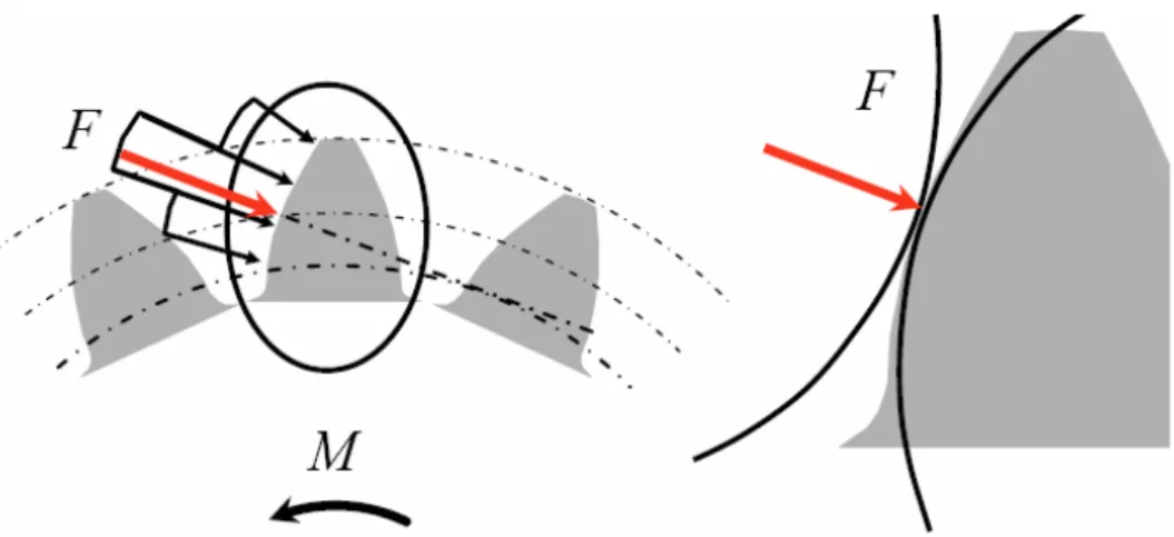 Figura 3.2 andamento del carico sul profilo dente e calcolo della locale pressione di  contatto 