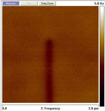 Figura 2.15: Esempio di immagine EFM su un nanofilo di semiconduttore. `