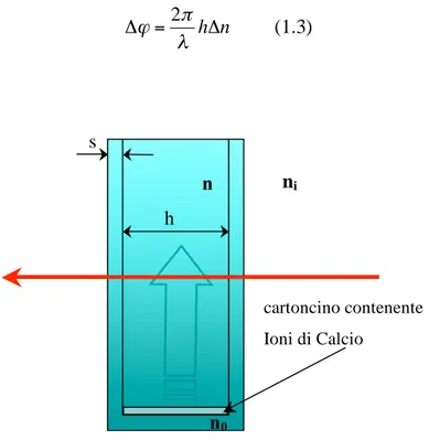 Figura 1.6: Struttura del porta campioni e posizionamento del cartoncino contenente  ioni di calcio