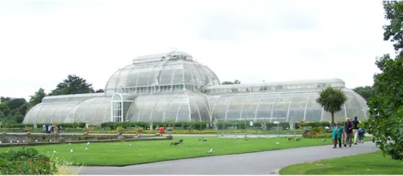 Fig. 1.5. La serra delle Palme ai Royal Botanical Gardens di Kew, esempio di 