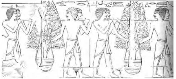 Fig. 1.8. Pitture ritrovate nel tempio di Deir el Bahari. 