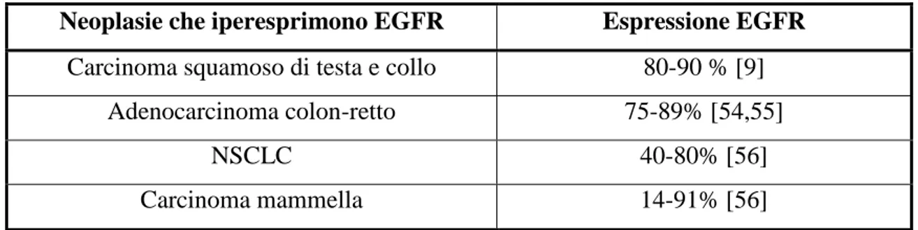 Tabella 4.1: tumori che iperesprimono EGFR 