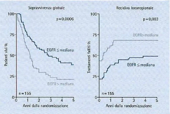 Figura 4.3: i livelli di espressione di EGFR sono fattori predittivi di risposta alla RT