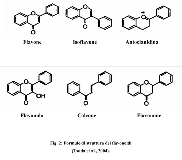 Fig. 2: Formule di struttura dei flavonoidi  (Tsuda et al., 2004). 