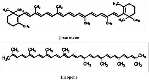 Fig. 3: Formula di struttura di β-carotene e licopene  (Tsuda et al., 2004). 