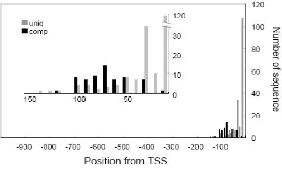 Fig. 1.2.4. Distribuzione dei motivi più o meno sensibili all’orientamento situati a monte del sito  di inizio della trascrizione