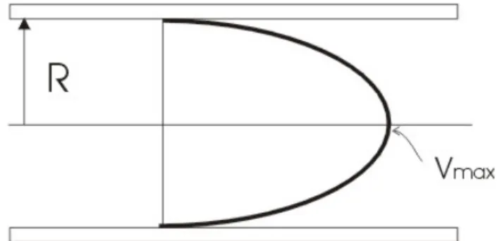 Figura 1.2: Profilo di velocità parabolico relativo ad un flusso laminare  stazionario in un lungo tubo cilindrico