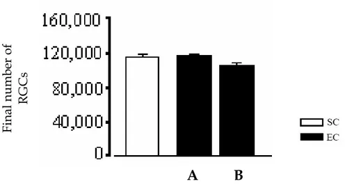 Figura 1.11: misura del numero delle RGCs in animali adulti EC e SC. Il numero 