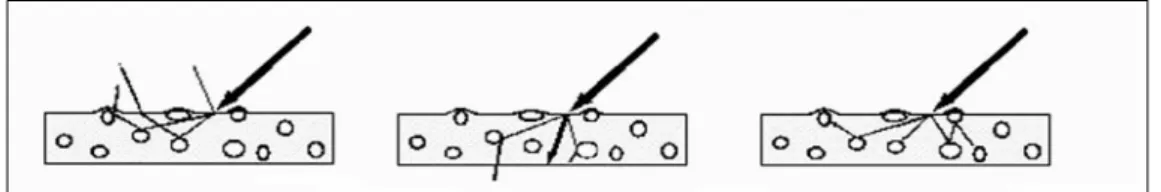 Figura 4.1   Diffusione, trasmissione e assorbimento della luce incidente 