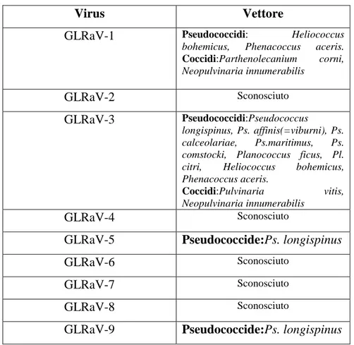 Tabella 2- Virus associati all’Accartocciamento fogliare della vite e loro vettori (da Martelli, 2004  modificata)