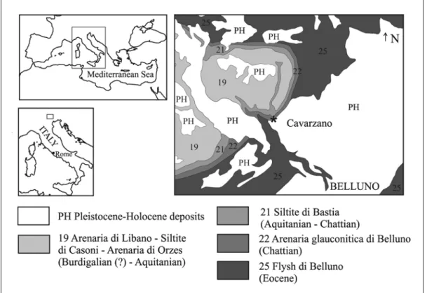Fig. 1: Italian Geological Map of Belluno, sheet 063, sector 1, scale 1:50000. The black  star indicates the site where the holotype of “Halitherium” bellunense was collected  (modified from Costa et al., 1992)