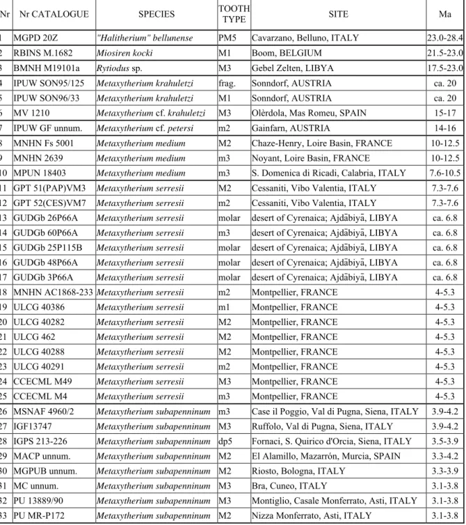 Table 3: List of the sirenian specimens analyzed in this study. Specimens are listed in  chronostratigraphic sequence