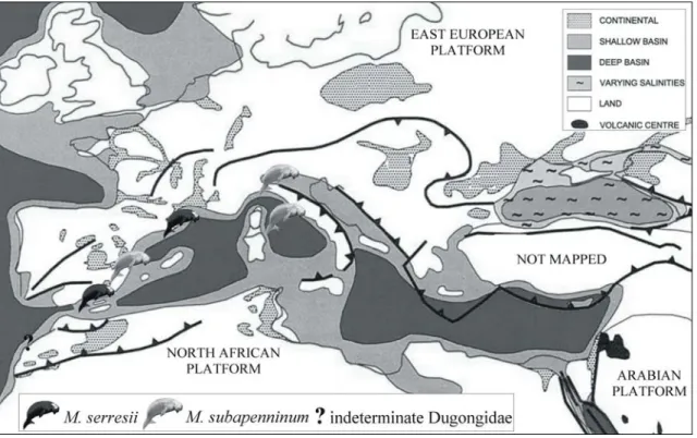 Fig. 4: Schematic palaeogeographic map of the Euro-North African coasts during the  Pliocene (modified from Meulenkamp &amp; Sissingh, 2003); with indications of the main  known sirenian records