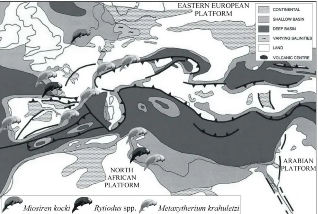 Fig. 1: Schematic palaeogeographic map of the Euro-North African coasts during the  Early Miocene (modified from Meulenkamp &amp; Sissingh, 2003); with indications of the  main known sirenian records