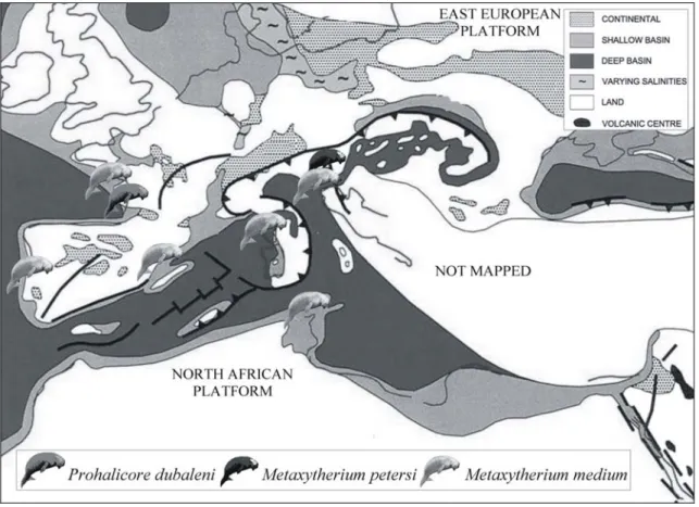 Fig. 2: Schematic palaeogeographic map of the Euro-North African coasts during the  Middle Miocene (modified from Meulenkamp &amp; Sissingh, 2003); with indications of  the main known sirenian records