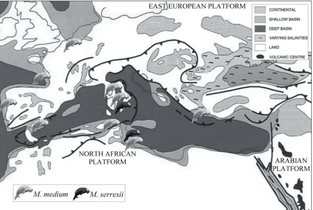 Fig. 3: Schematic palaeogeographic map of the Euro-North African coasts during the  Late Miocene (modified from Meulenkamp &amp; Sissingh, 2003); with indications of the  main known sirenian records
