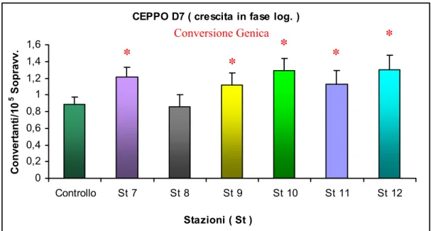 Fig. 3.17: Effetto degli elutriati delle stazioni 7-12 sulla conversione genica del CEPPO D7   in crescita in fase logaritmica