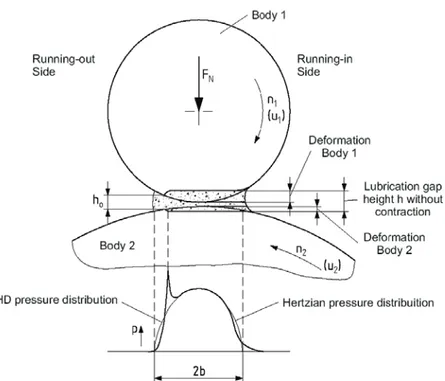 Figure  1-2: Pressure profile and film thickness of a typical EHL contact  (source: [http://www.ime.rwth-aachen.de,2003])