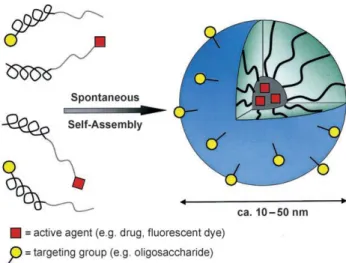 Figure 1.2. Formation and architecture of block-copolymer micelles which spontaneously form by self-assembly in 
