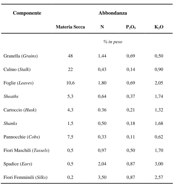 Tabella  A  2  –  Abbondanza  della  materia  secca  e  degli  ingredienti  attivi  in  una  pianta  di  mais  matura (Fonte: Hanway, J.J.,  Iowa State University Research)
