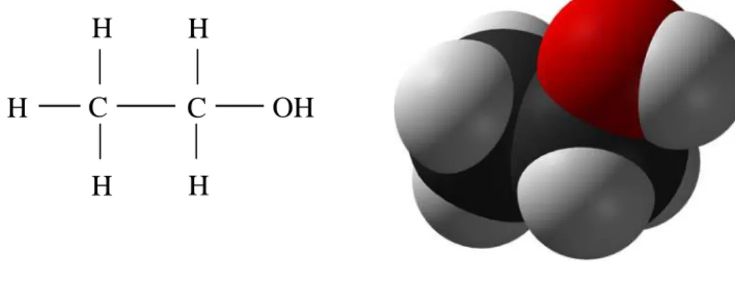 Figura 5 – Struttura chimica e tridimensionale di una molecola di Etanolo. 