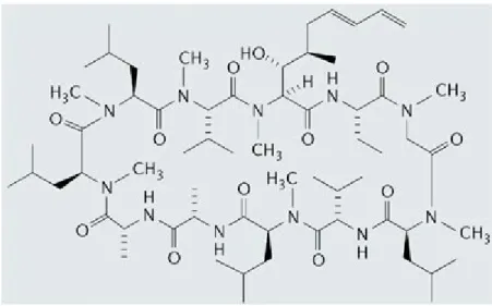 Figura 3: Ciclosporina A: struttura. 