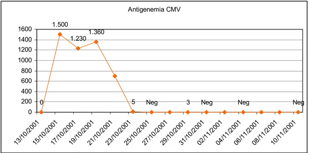 Figura  20:  Valori  di  antigenemia  pp65  CMV  rilevati  dal  13/10/01  al  10/11/01;  inizia  terapia  con  ganciclovir in data 19/10/01