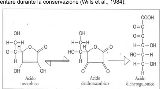 Figura 1.17. Ossidazione reversibile dell’acido ascorbico ad acido deidroascorbico 