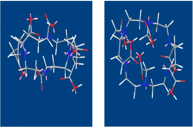 Fig. 2.1: Spatial disposition of carboxylic acid groups around the polyaza ring (left) and  molecular cage (right)