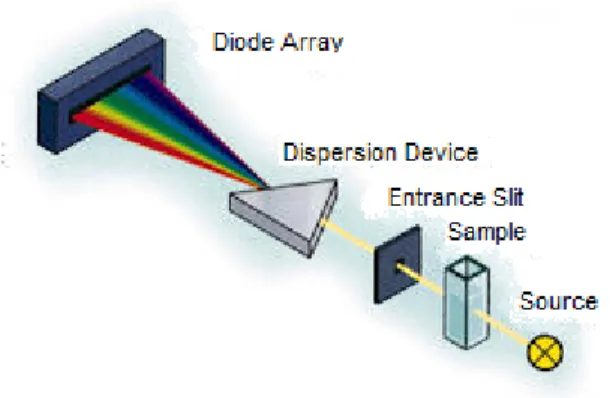Fig 2.2 Schema dello spettrofotometro a diodo array utilizzato   