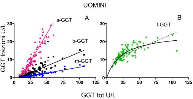 FIGURA 4.4 Attività delle frazioni di GGT in fuzione del valore totale 