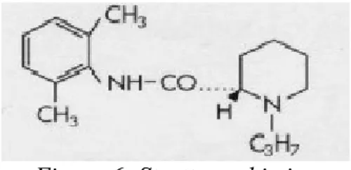 Figura 6: Struttura chimica  Ropivacaina