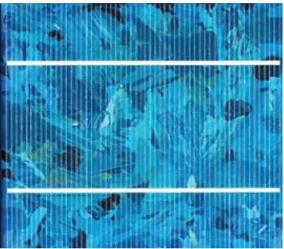 FIG 3.9 : Cella in silicio policristallino (Fonte : Fotovoltaico, guida per progettisti e installatori; ISESITALIA) 