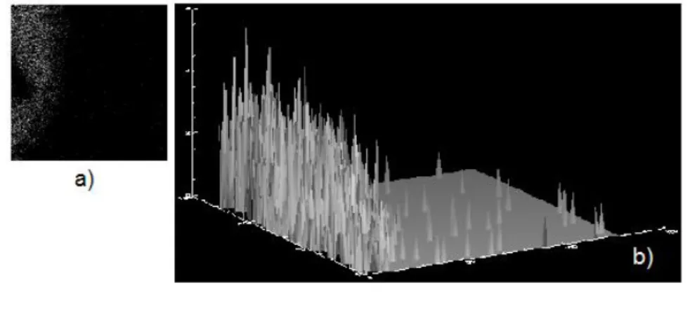 Figura 3.9: a) Immagine chimica del silicio, b) visualizzazione tridimensionale.
